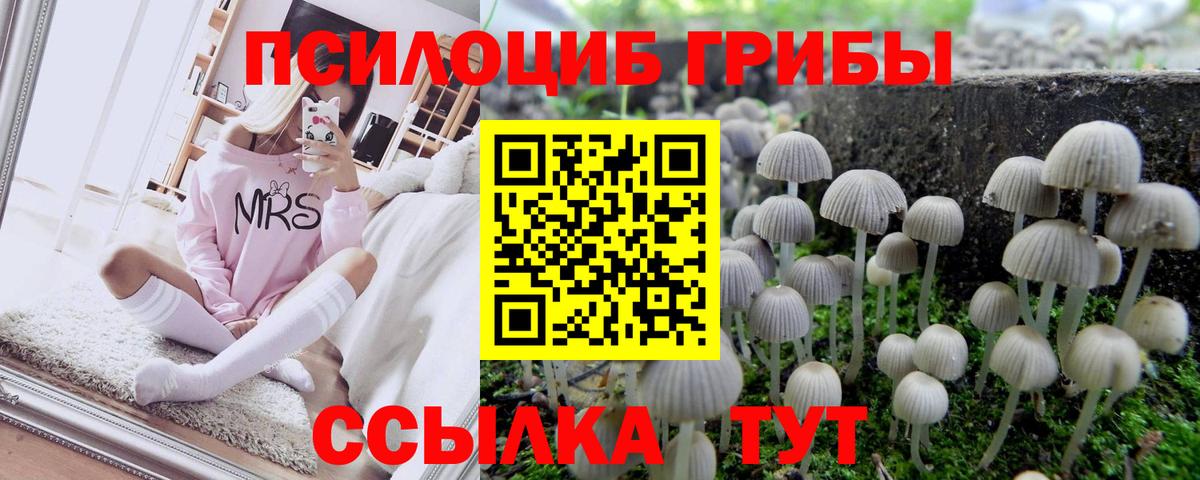 Грязи  цена наркотик  Псилоцибиновые грибы прущие грибы  Вход с VPN  Галлюциногенные грибы мицелий 
